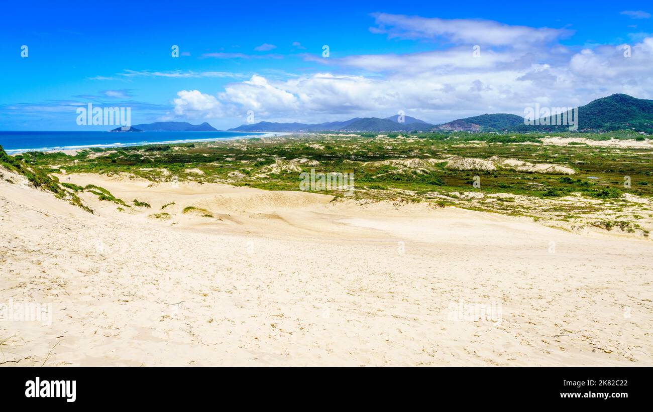 Scenic view of the dunes in ecological park in Florianopolis, Brazil Stock Photo
