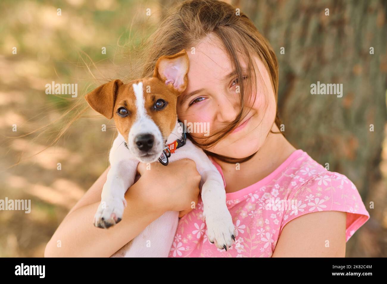 Cute kid hugging Jack Russel terrier puppy Stock Photo Alamy