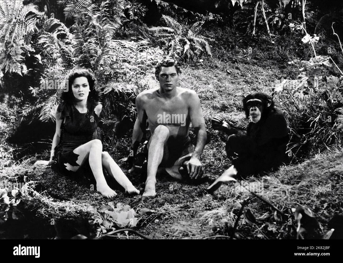 Maureen O'Sullivan & Johnny Weissmuller Film: Tarzan Escapes (USA 1936) Characters: Jane Parker, Tarzan  Director: Richard Thorpe 06 November 1936   **WARNING** This Photograph is for editorial use only and is the copyright of MGM and/or the Photographer assigned by the Film or Production Company and can only be reproduced by publications in conjunction with the promotion of the above Film. A Mandatory Credit To MGM is required. The Photographer should also be credited when known. No commercial use can be granted without written authority from the Film Company. Stock Photo