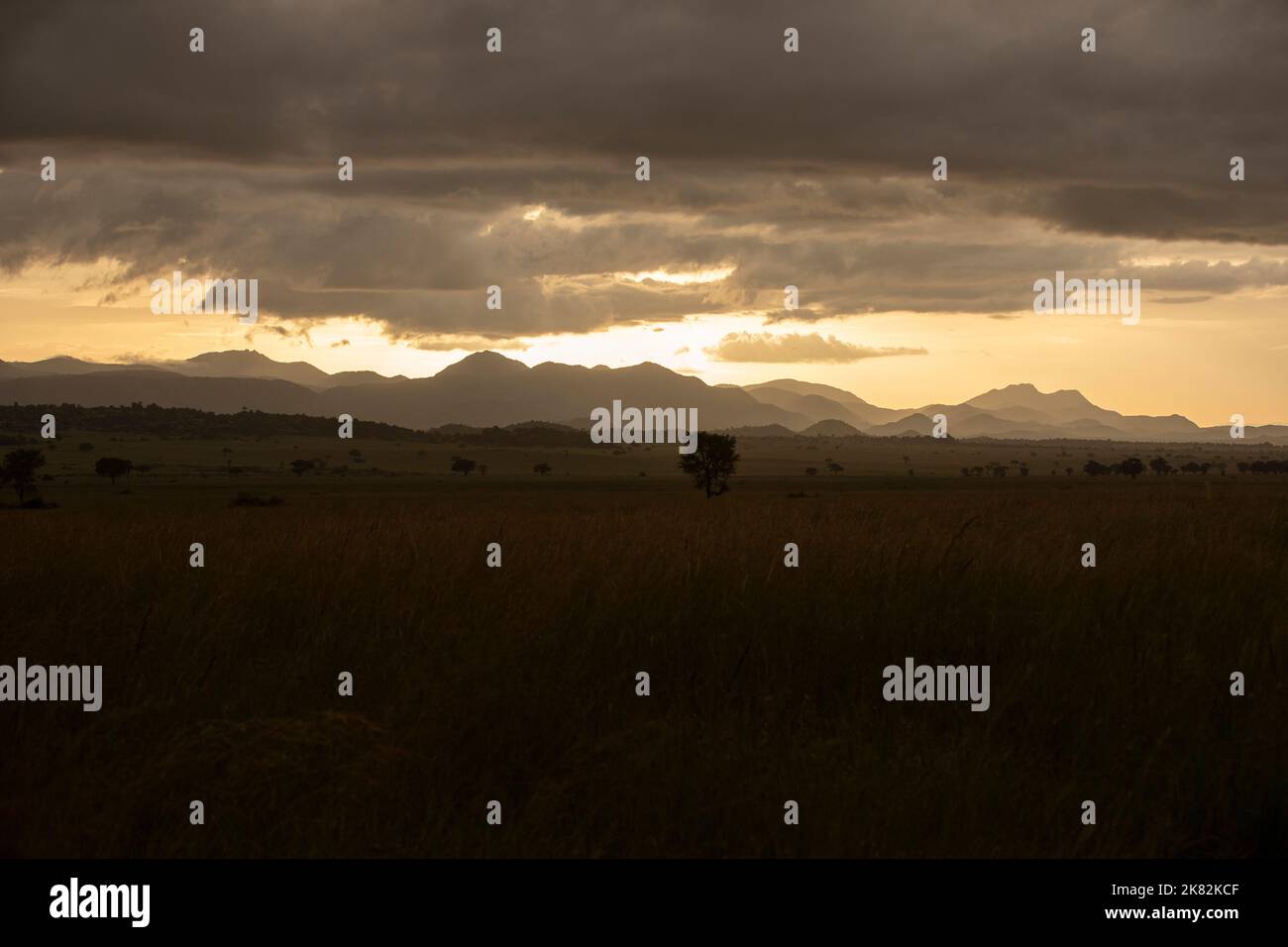 Mountains and grassland at sunset in Kidepo Valley National Park, Uganda, East Africa. Stock Photo