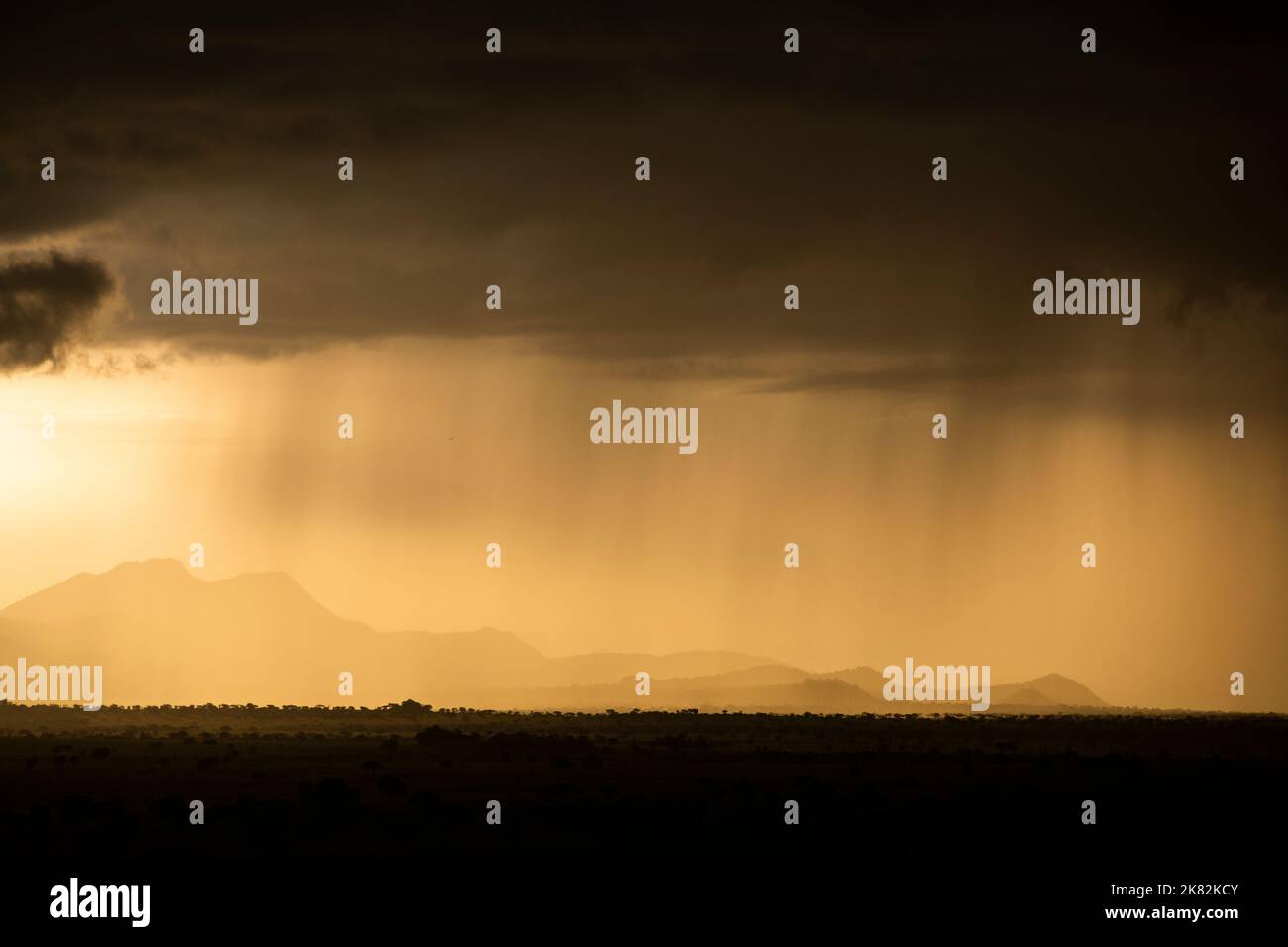 Rainfall at sunset in Kidepo Valley National Park, Uganda, East Africa Stock Photo