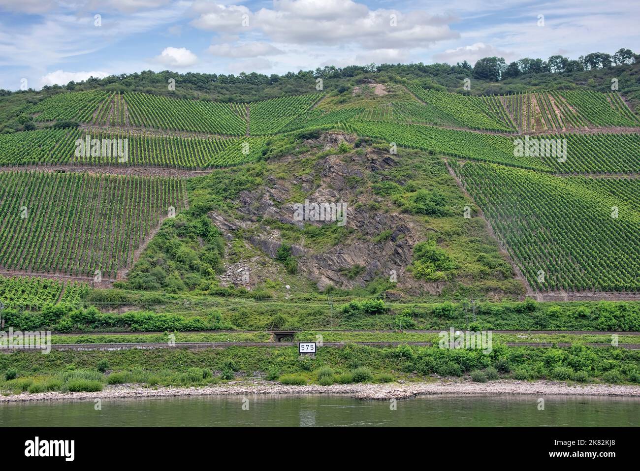 Several large wine vineyards are located along the Rhine River,  spanning from Germany to France. Stock Photo