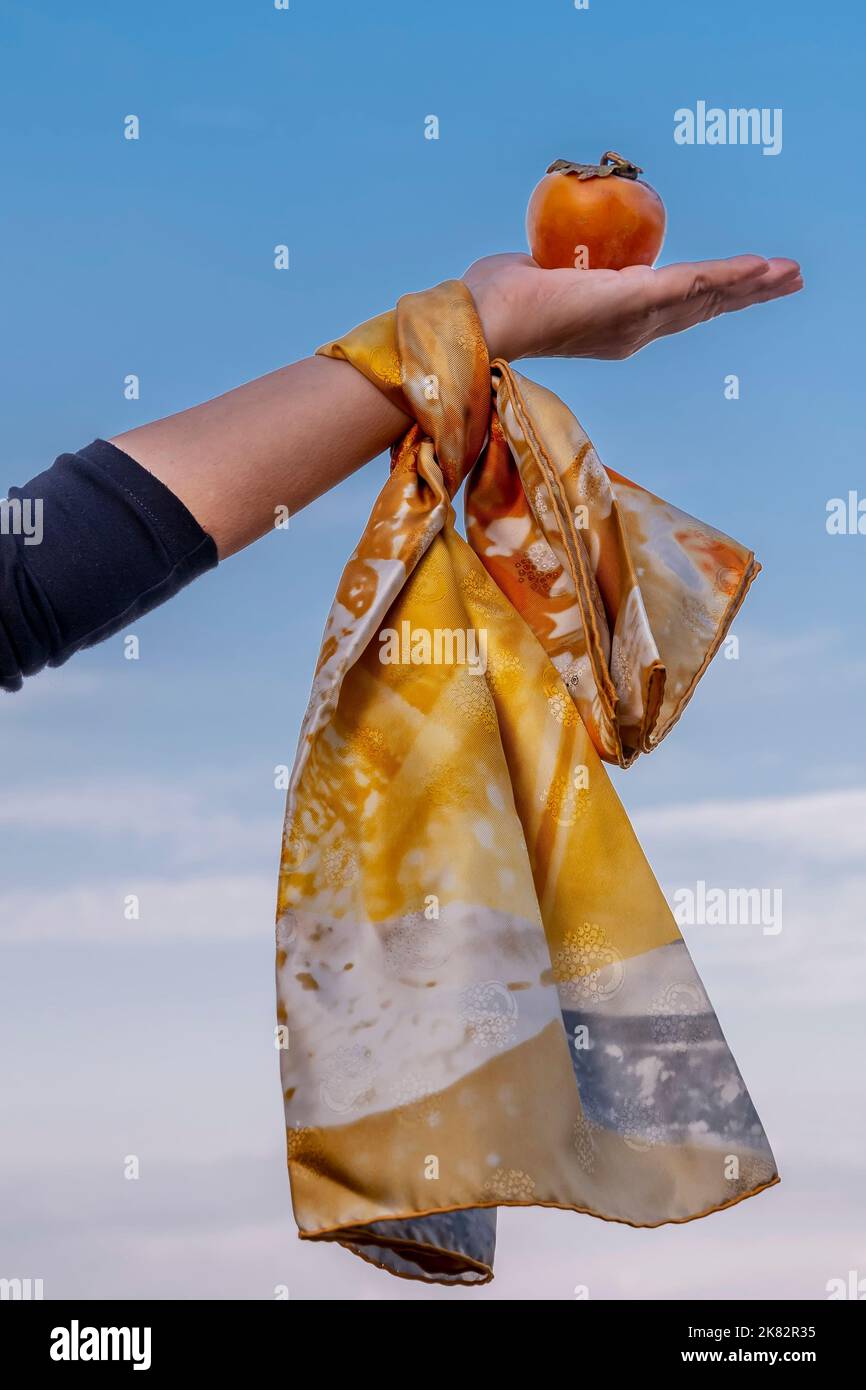 A female hand decorated with a colorful scarf holds a ripe persimmon against the sky Stock Photo