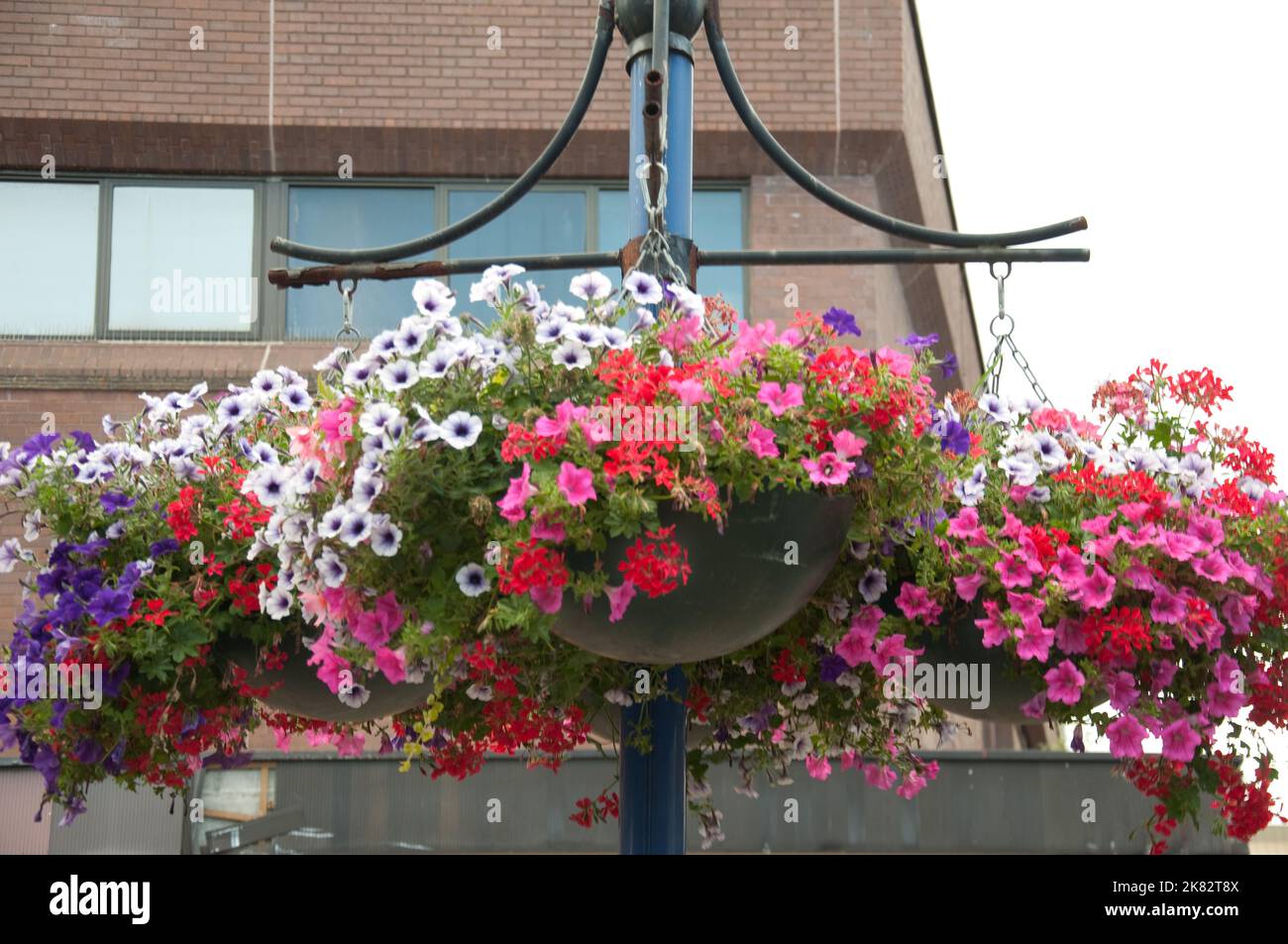 Hanging basket flower london hi-res stock photography and images - Alamy