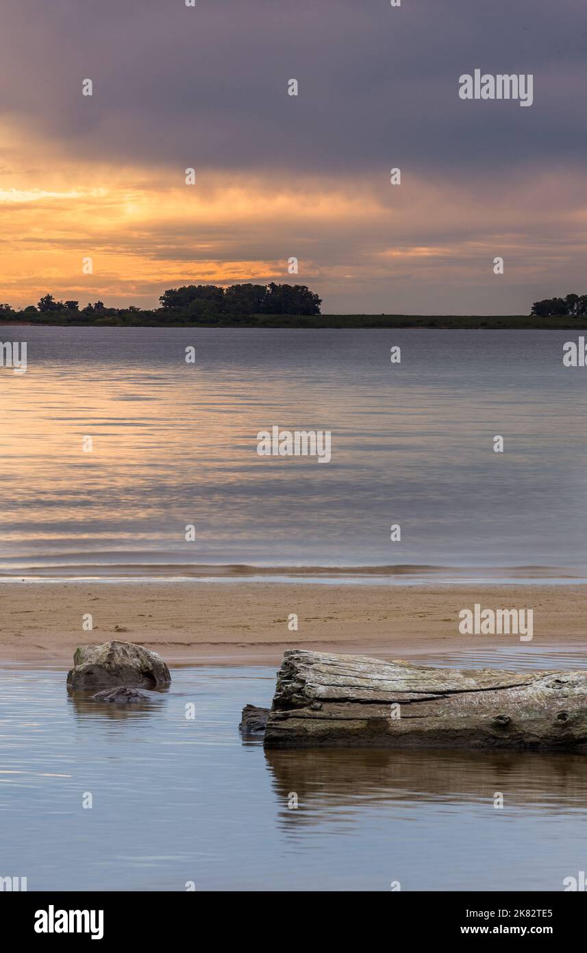 Ttee log laying on a water pond at the beach with some trees on the horizon, during sunset. San Gregorio de Polanco, Tacuarembo, Uruguay Stock Photo