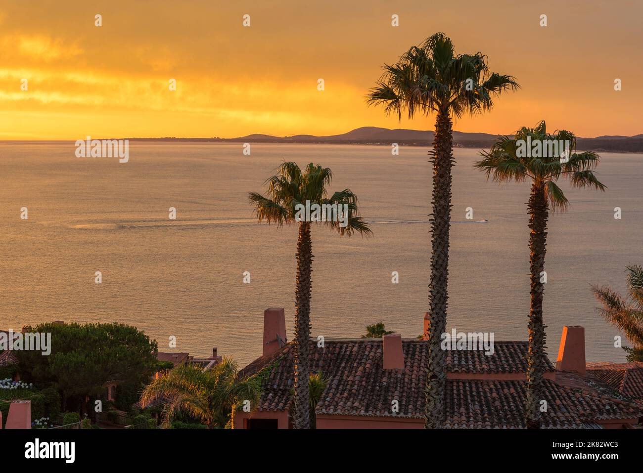 Three palm trees on a terrace of a house, overlooking the bay during a golden sunset in Punta Ballena, Maldonado, Uruguay Stock Photo