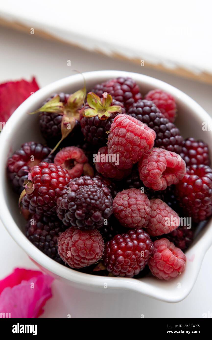 macro of exquisite cold blackberries in a bowl, decorated with flower petals, exquisite tropical fruit, food for a healthy diet Stock Photo