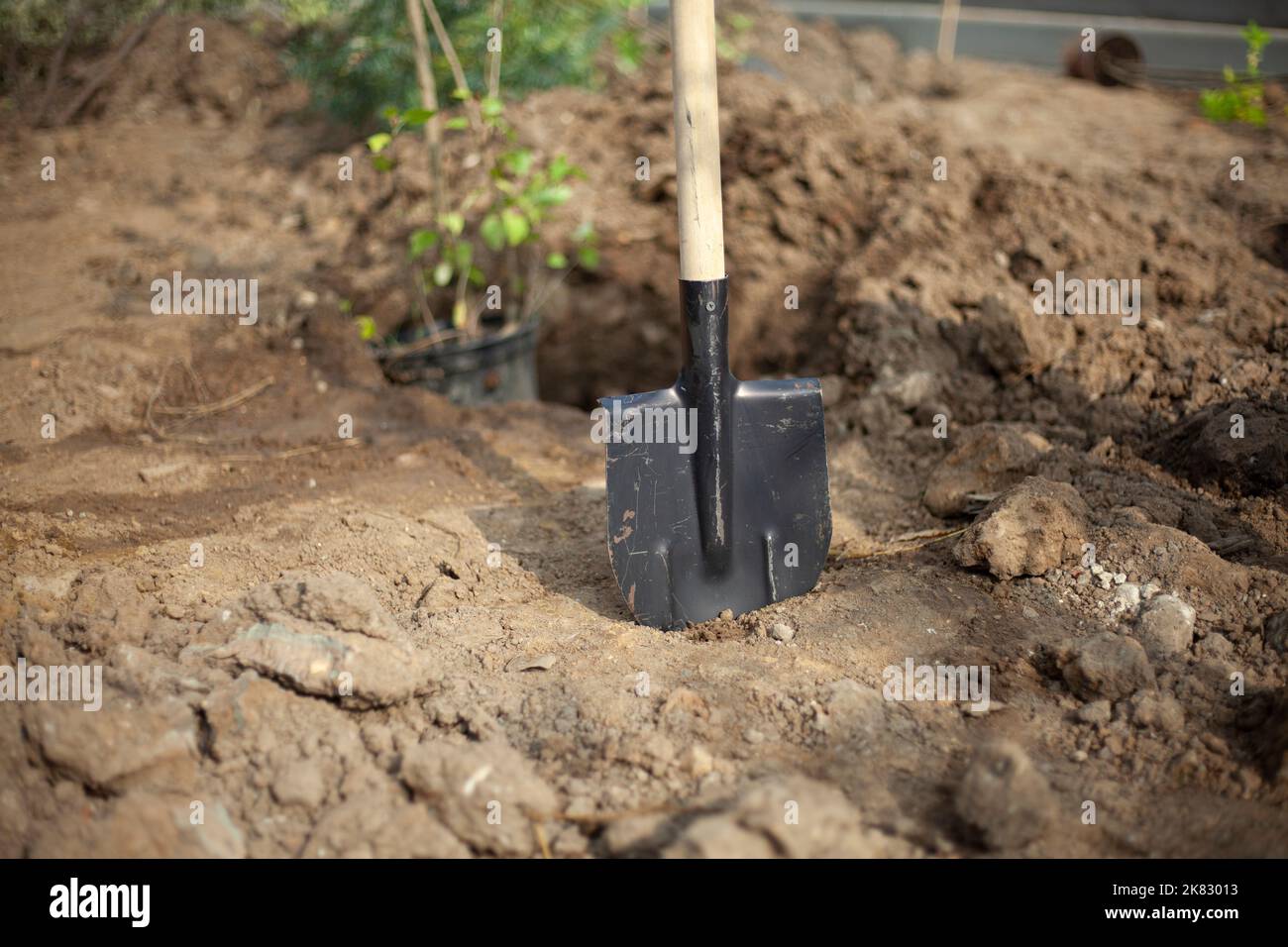 Shovel in ground. Planting trees. Details of planting plants in park
