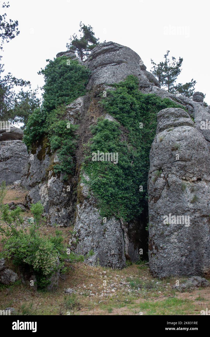Sedimentary rocks, Taurus Mountains, Köprülü Canyon National Park, Antalya Province, Turkey Stock Photo