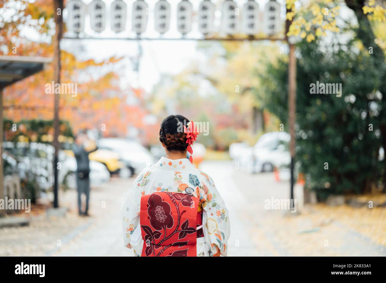 Young women wearing traditional Japanese Kimono with colorful maple trees in autumn is famous in autumn color leaves and cherry blossom in spring, Kyo Stock Photo