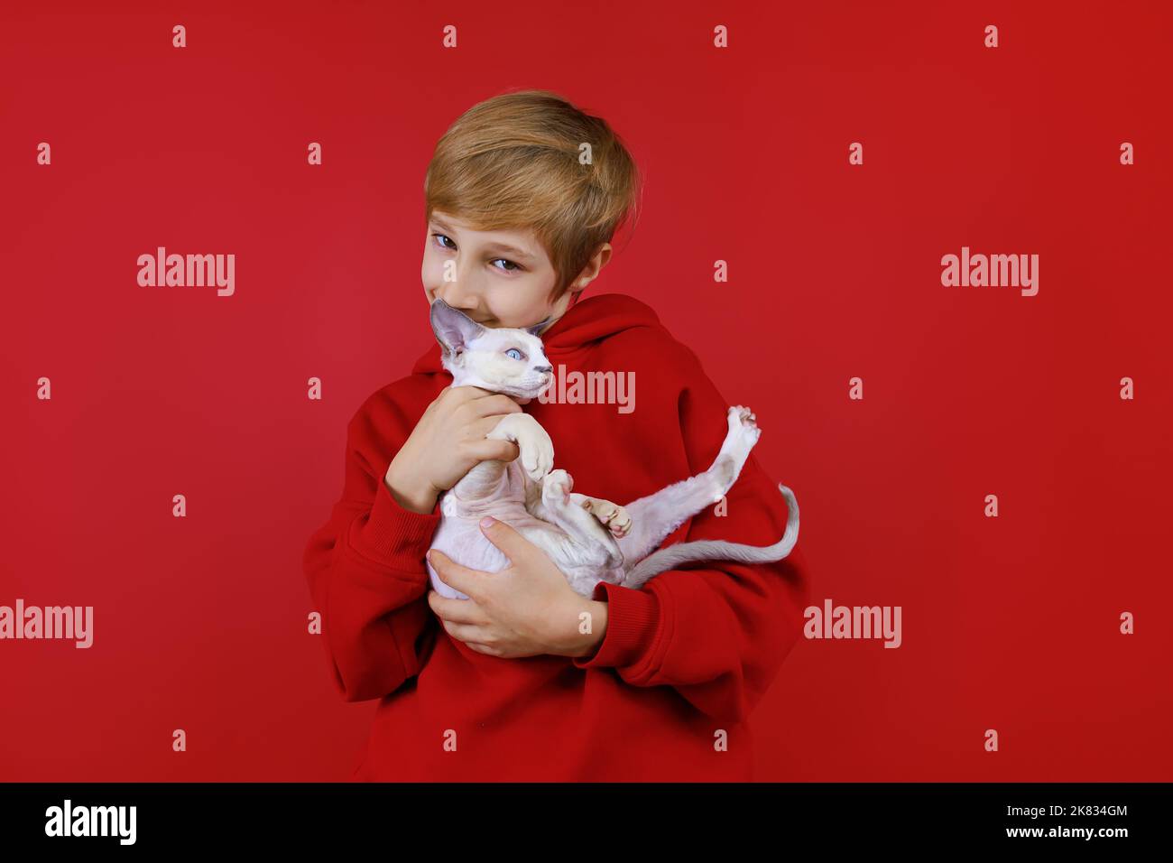 A cheerful boy in a red suit holds a white cat in his arms, he plays with him Stock Photo