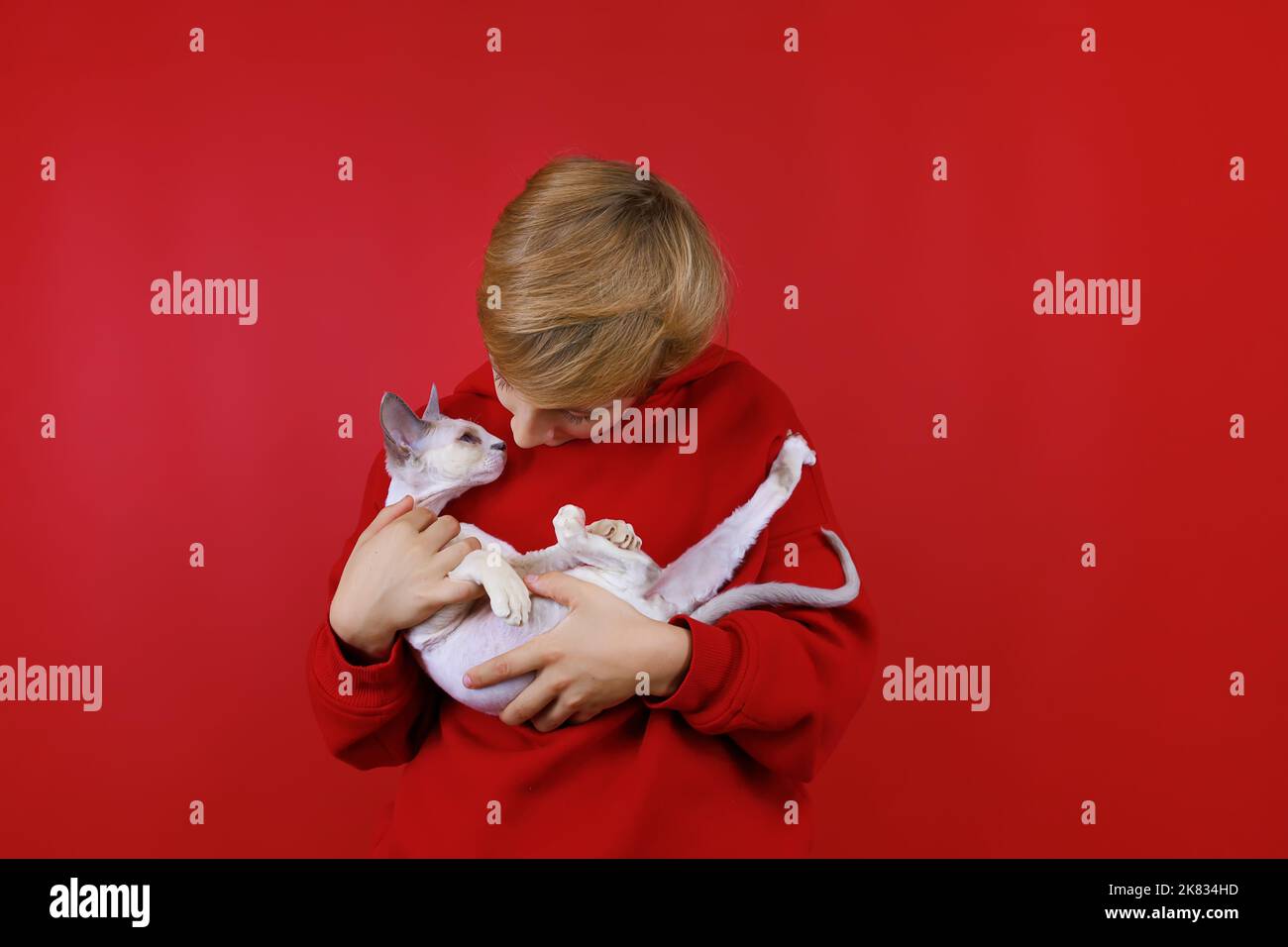 A cheerful boy in a red suit holds a white cat in his arms, he plays with him Stock Photo