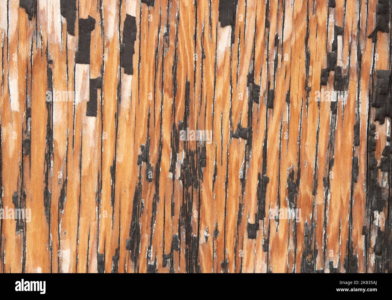 Rustic Detail of chipped black weathered paint on plywood wall Stock Photo