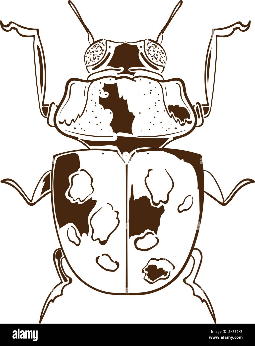 bug icon on white background Stock Vector Image & Art - Alamy