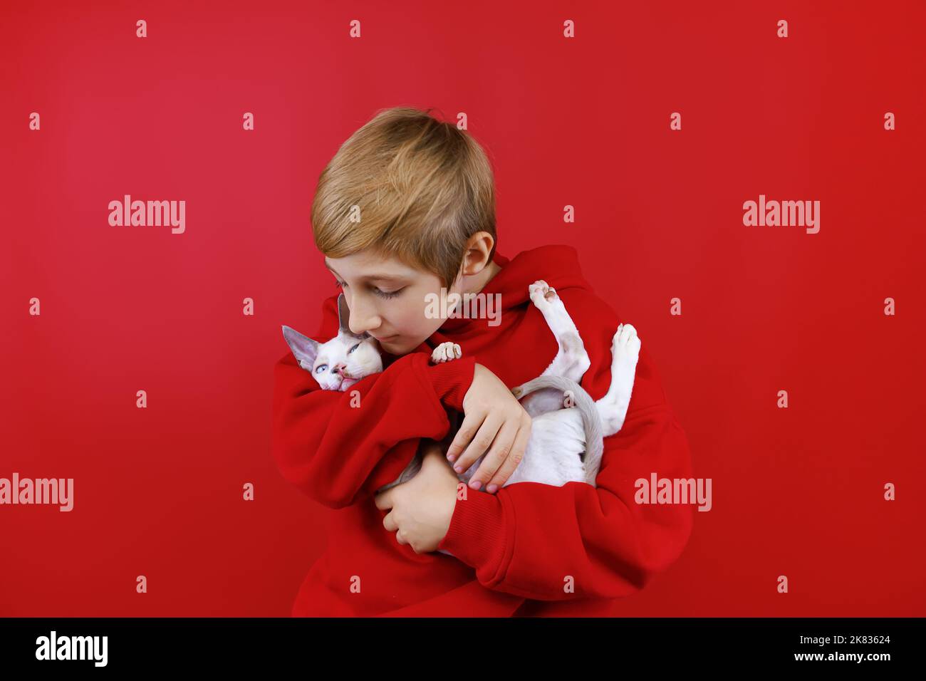 loving boy in a red suit holds a little kitten in his arms hugs him and kisses him Stock Photo