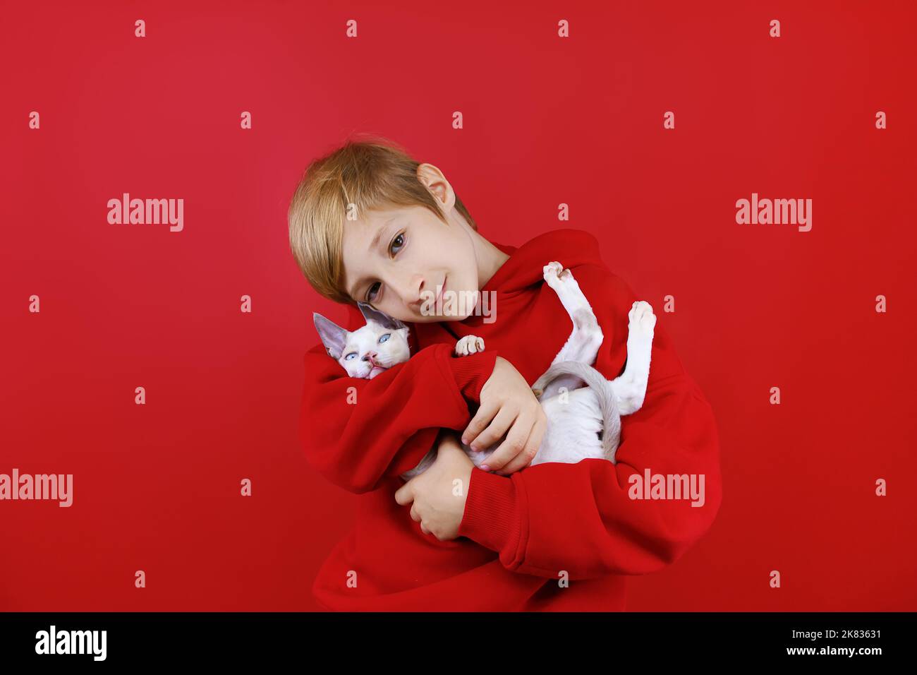 the boy loves his kitten holds him in his arms and hugs Stock Photo - Alamy