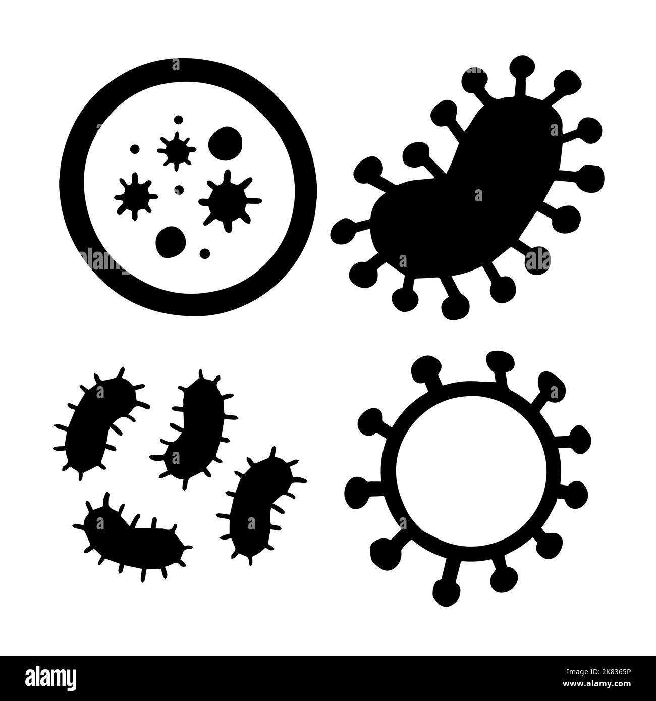 Coccus bacteria Cut Out Stock Images & Pictures - Alamy