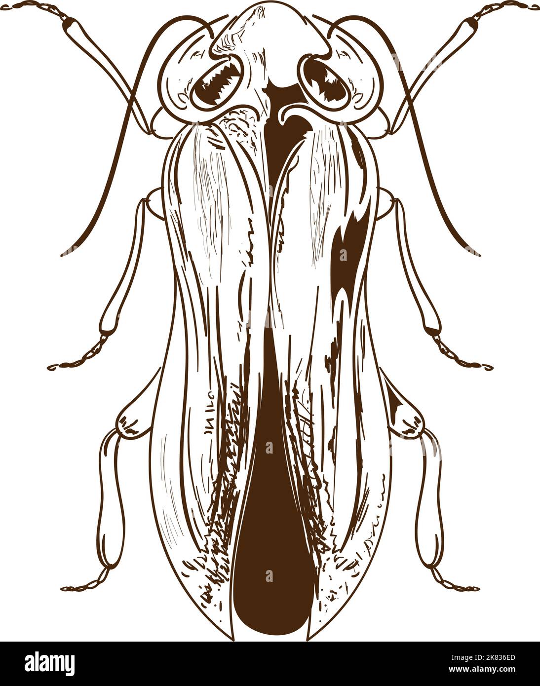 cockroach bug icon Stock Vector Image & Art - Alamy