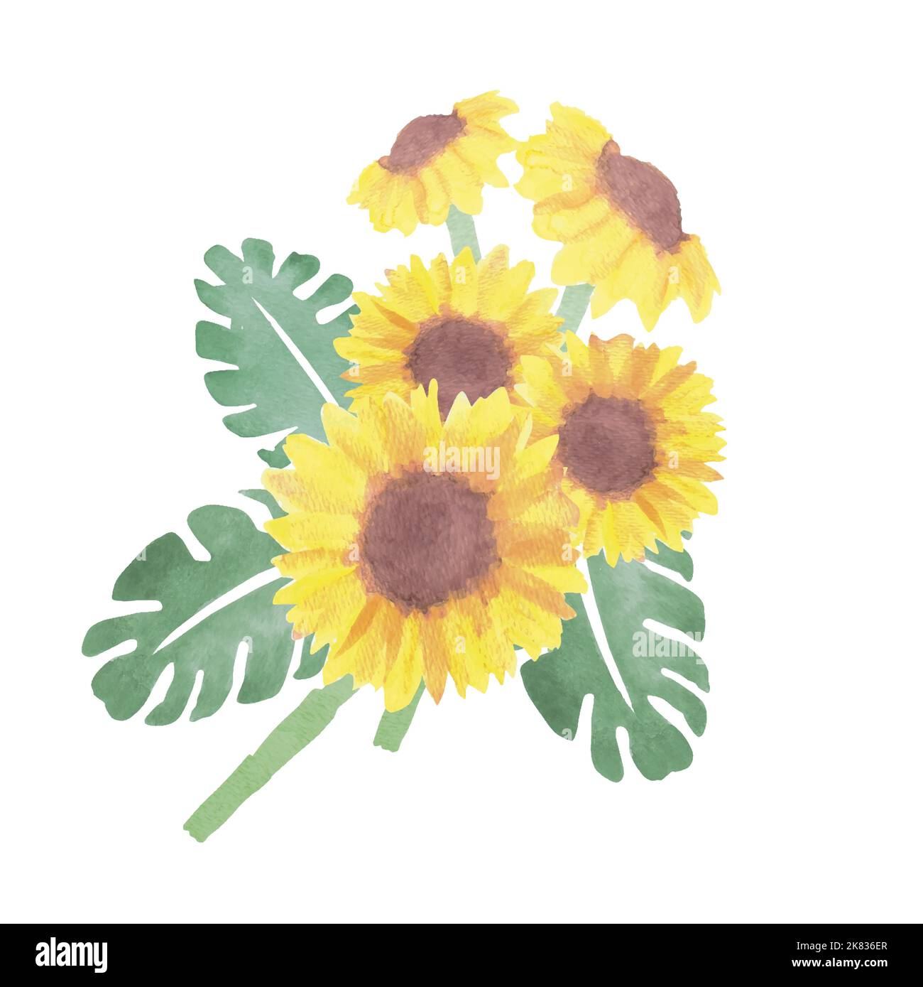 Sunflowers and foliage watercolor Stock Vector