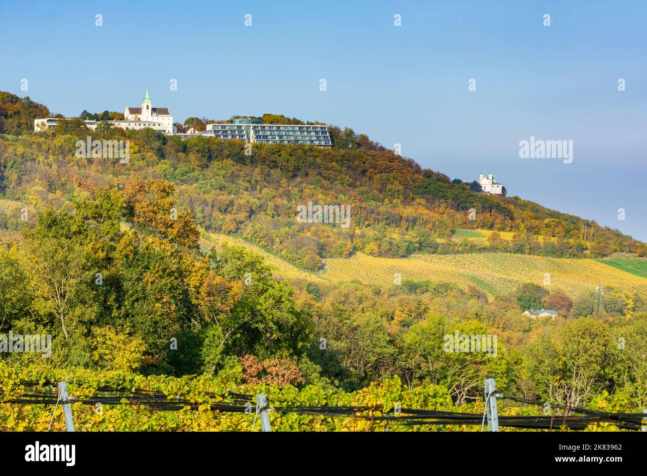 Wien, Vienna vineyard, mountain Kahlenberg (with church), mountain