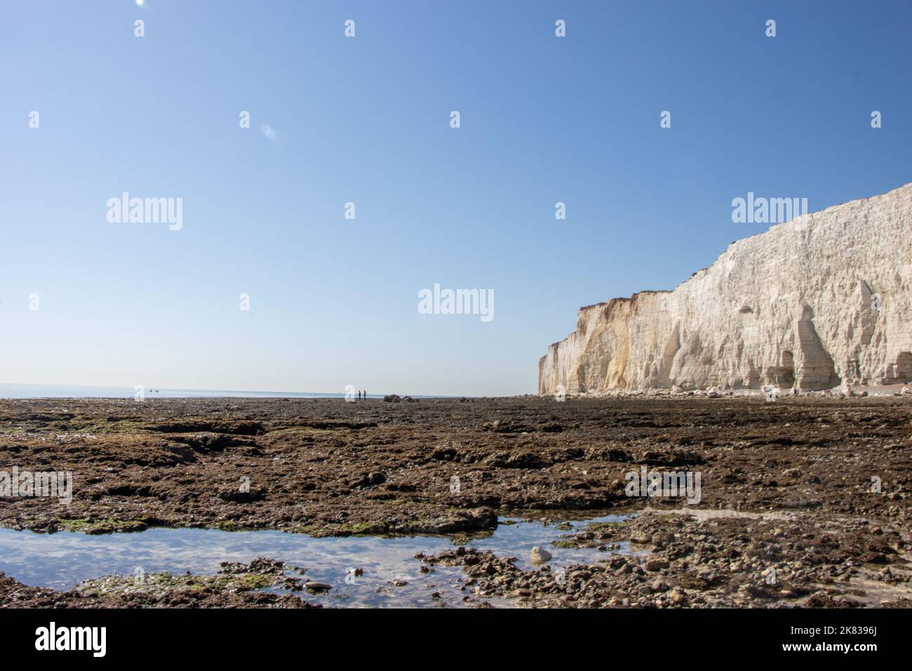 Rock pools at Birling Gap during low tide. East Sussex, United Kingdom. Stock Photo