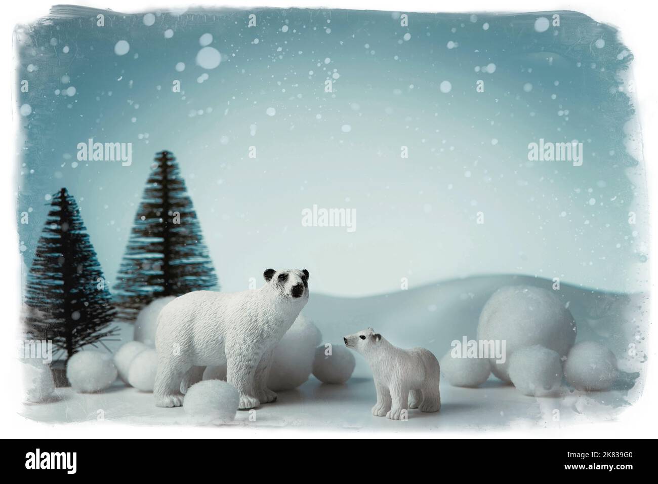 Vintage winter background for invitations and cards with bears in a snowy forest with fir trees. Concept for Christmas and New Year Stock Photo