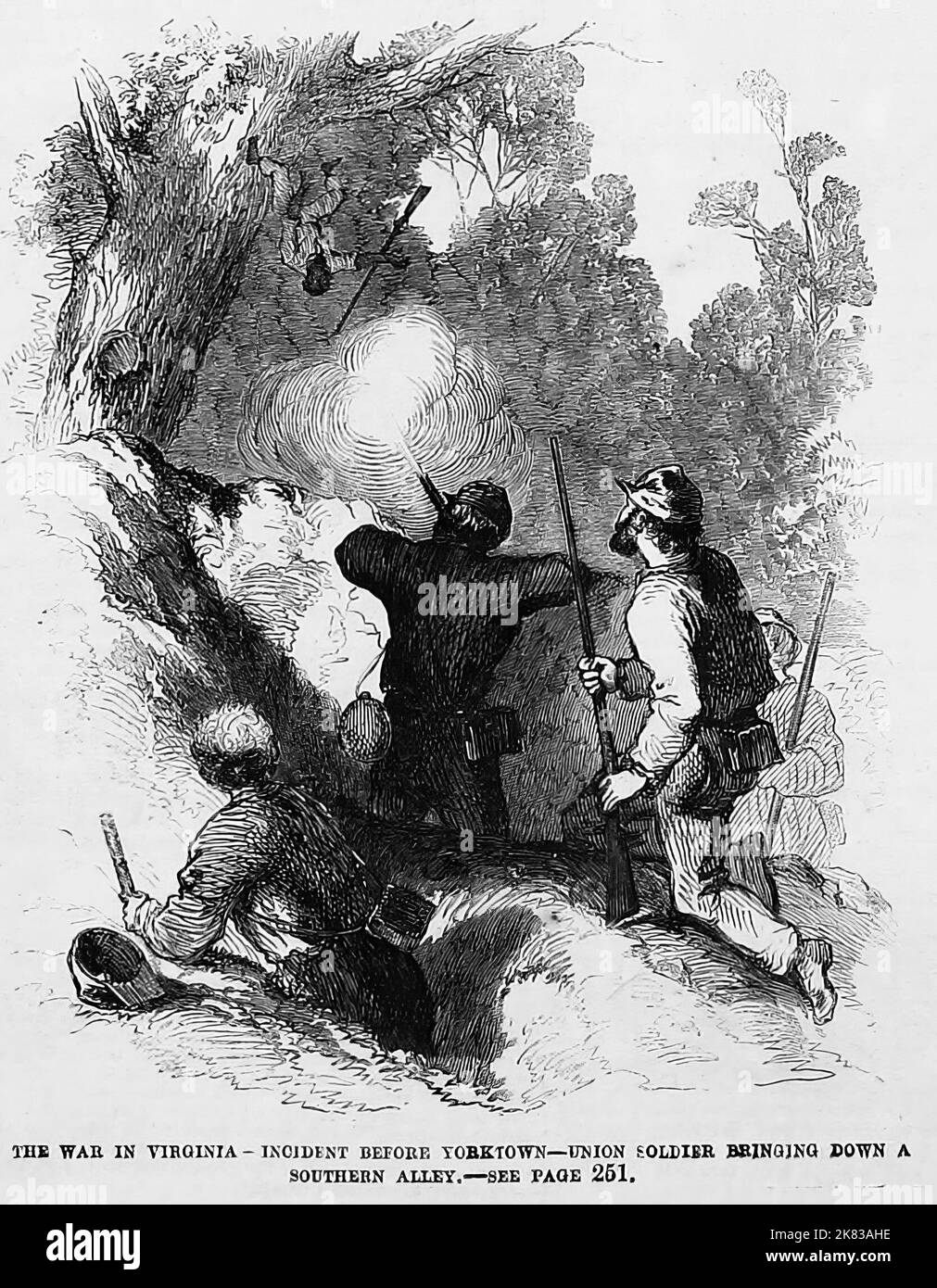 The War in Virginia - Incident before Yorktown - Union soldier bringing down a Southern ally. 1862. 19th century American Civil War illustration from Frank Leslie's Illustrated Newspaper Stock Photo