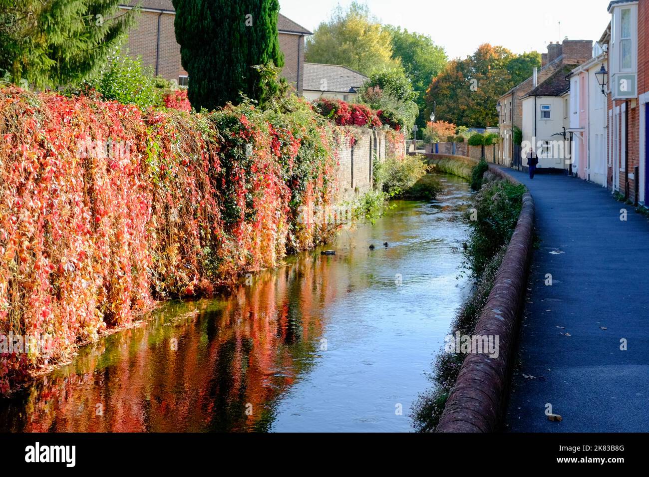 An Autumn day in Salisbury, a city in Wiltshire UK. Water Lane Stock