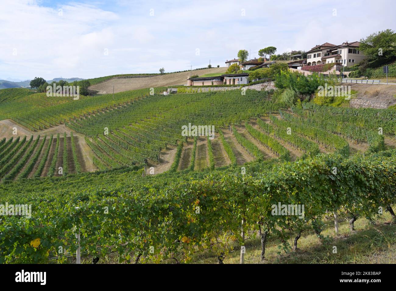 Ratti wine hi-res stock photography and images - Alamy