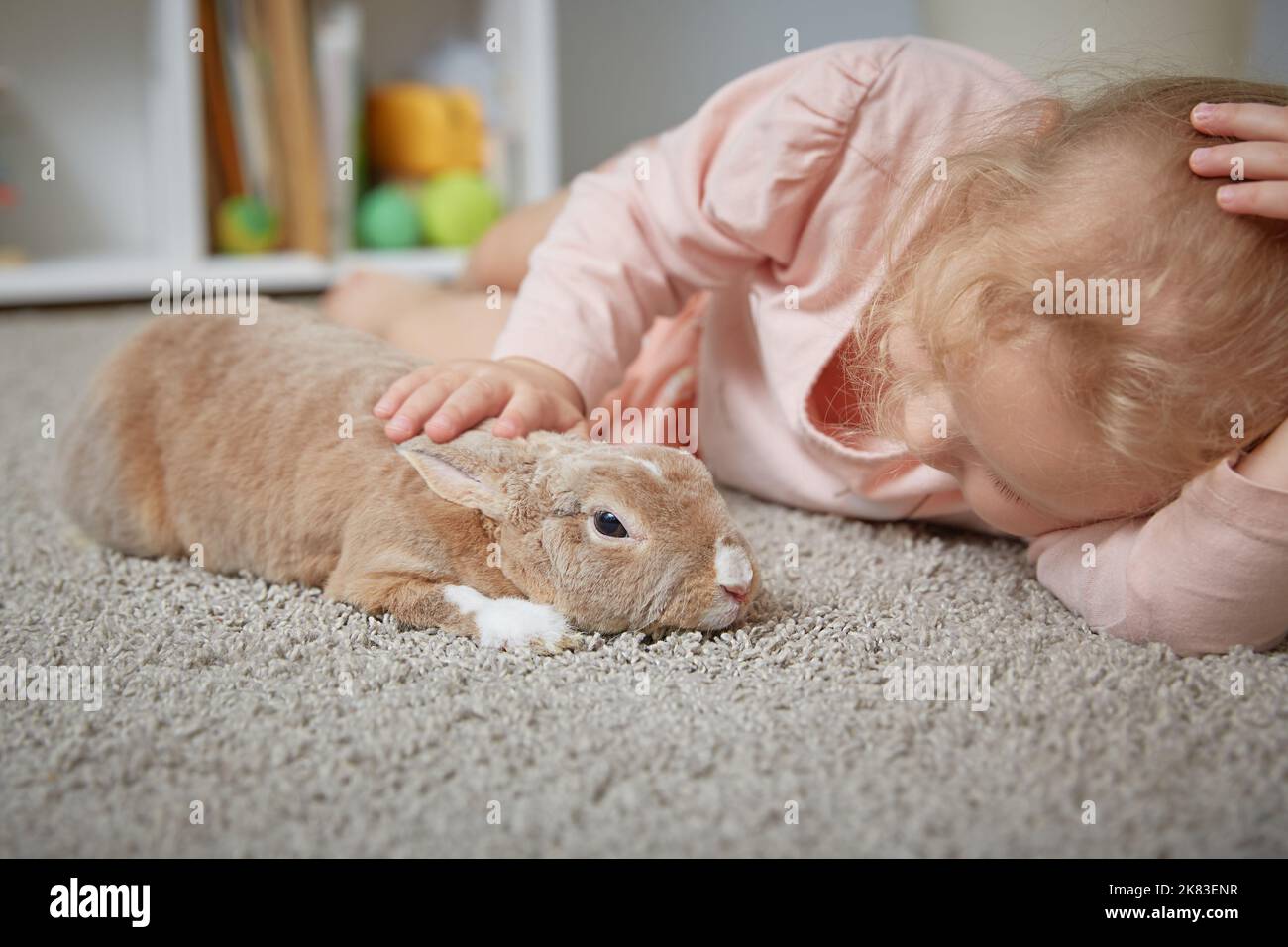 Decorative rabbit next to the girl at home on the carpet in the living room. Lovely pets Stock