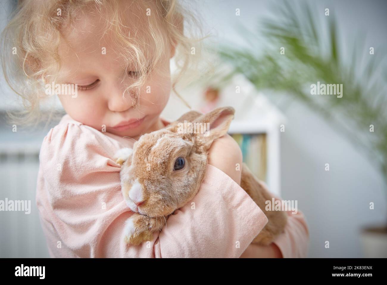Bunny in a zoo hi-res stock photography and images - Page 2 - Alamy
