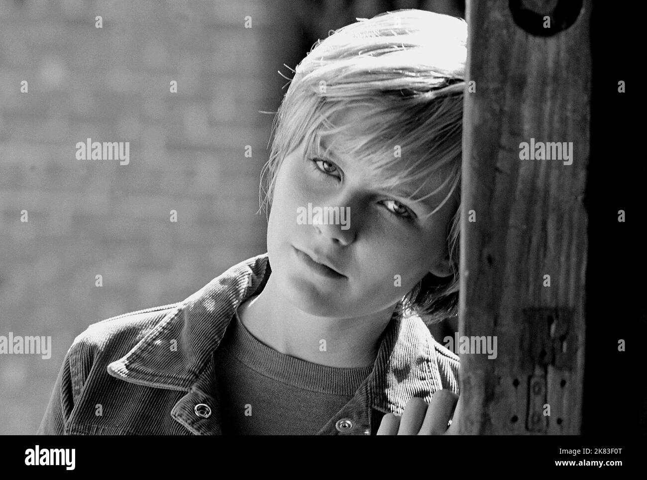 Crazy beautiful movie Black and White Stock Photos & Images - Alamy