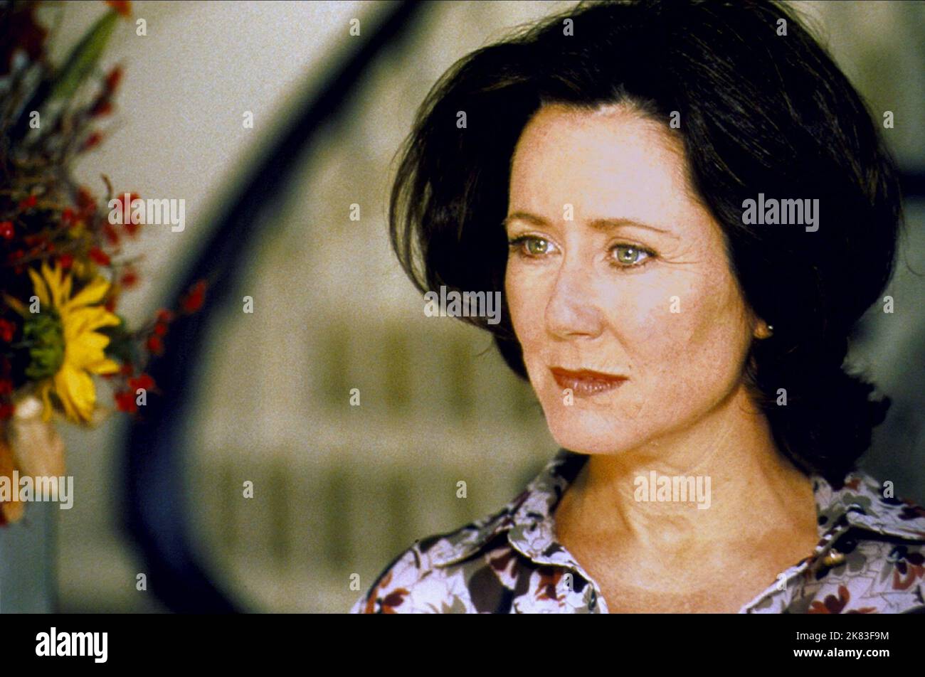 Mary Mcdonnell Film: Donnie Darko (USA 2001) Characters: Rose Darko  Director: Richard Kelly 19 January 2001   **WARNING** This Photograph is for editorial use only and is the copyright of 20TH CENTURY FOX and/or the Photographer assigned by the Film or Production Company and can only be reproduced by publications in conjunction with the promotion of the above Film. A Mandatory Credit To 20TH CENTURY FOX is required. The Photographer should also be credited when known. No commercial use can be granted without written authority from the Film Company. Stock Photo