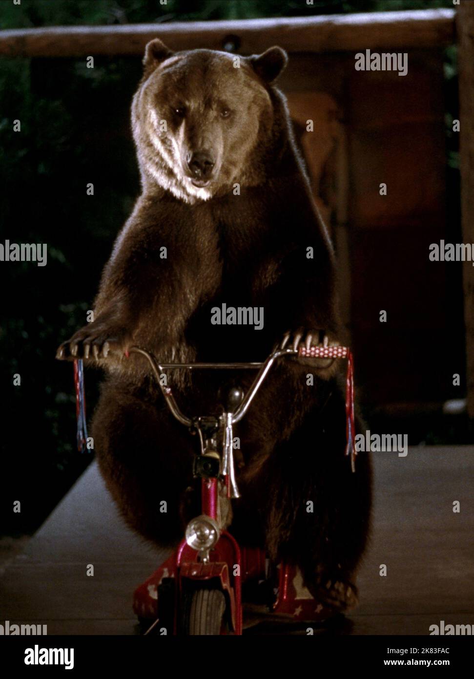 Archie The Bear Film: Dr. Dolittle 2; Doctor Dolittle 2 (USA 2001 ...