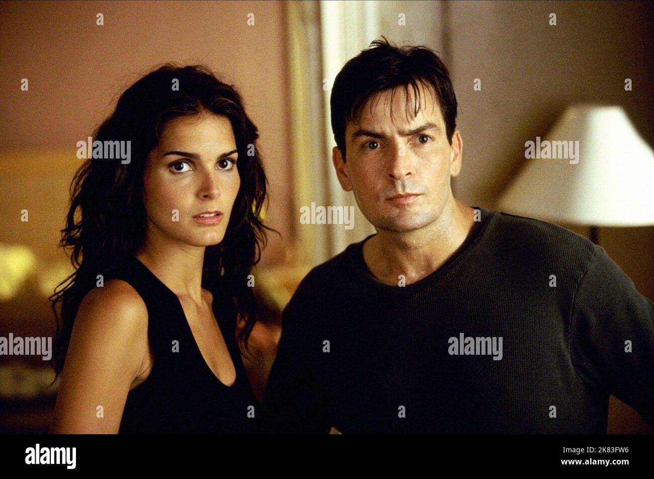 Angie Harmon & Charlie Sheen Film: Good Advice (2001) Characters: Page ...