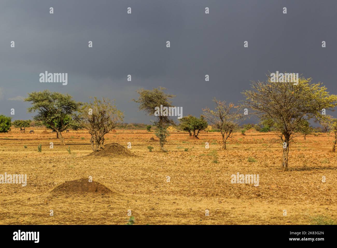 Landscape of Tigray region, Ethiopia Stock Photo