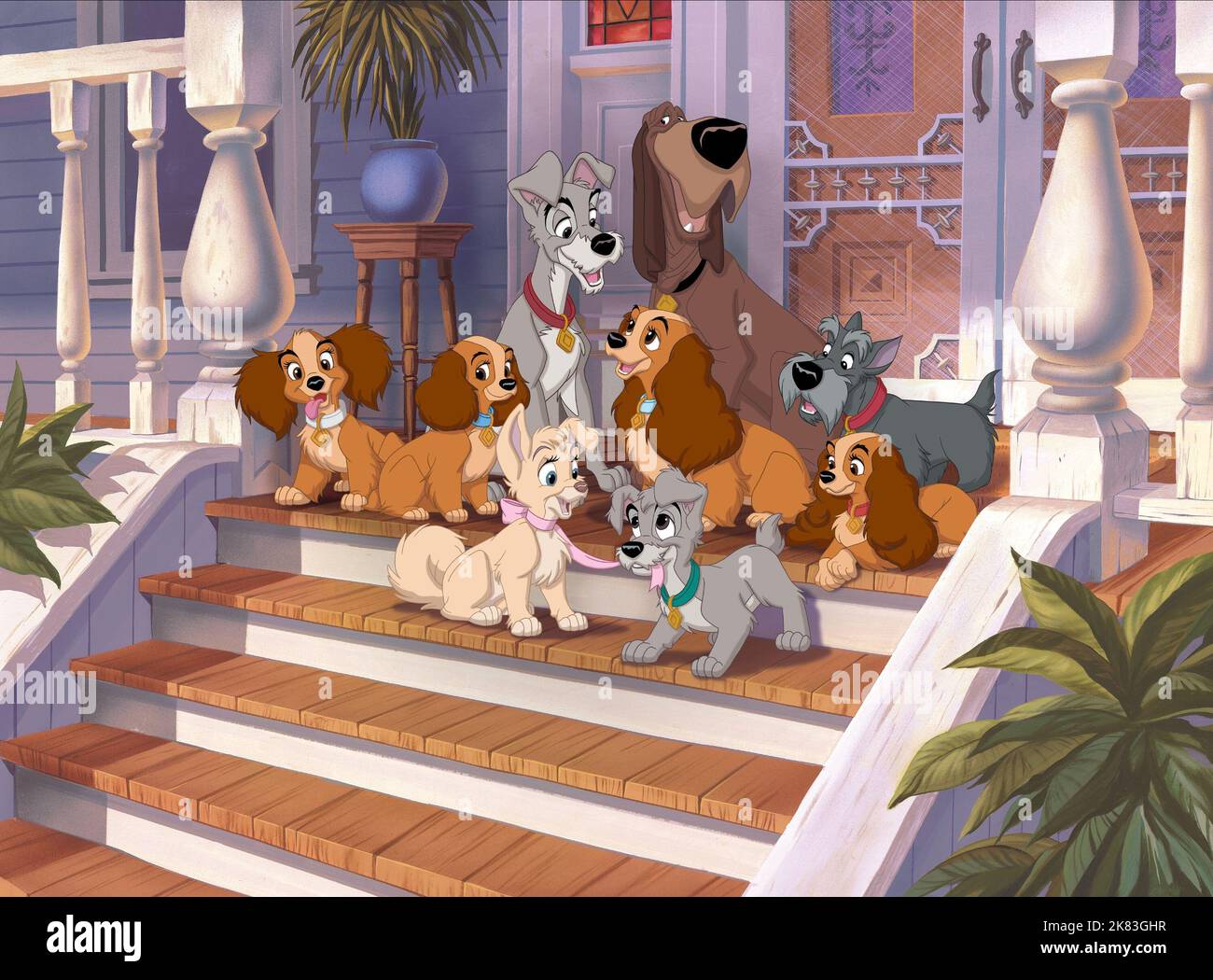 Angel, Scamp, Danielle, Annette, Lady, Colette, Tramp, Trusty & Jock Film: Lady And The Tramp Ii: Scamp'S Adventure (USA/AUS 2001)   Regie: Darrell Rooney & Jeannine Roussel, Director: Darrell Rooney, J Roussel 18 February 2001   **WARNING** This Photograph is for editorial use only and is the copyright of WALT DISNEY PICTURES and/or the Photographer assigned by the Film or Production Company and can only be reproduced by publications in conjunction with the promotion of the above Film. A Mandatory Credit To WALT DISNEY PICTURES is required. The Photographer should also be credited when known. Stock Photo