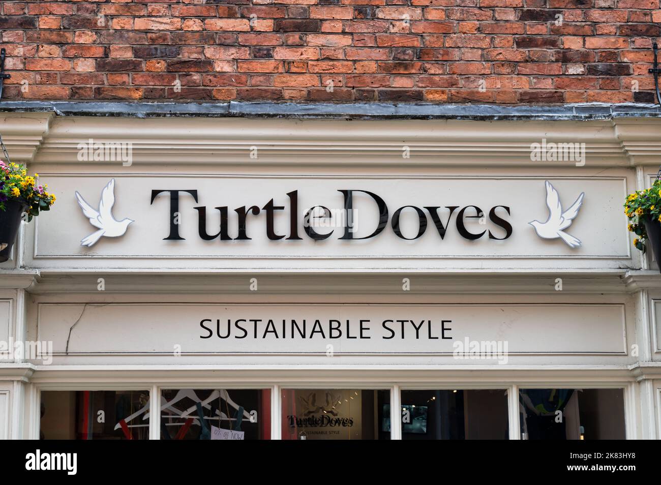 Turtle doves shrewsbury hires stock photography and images Alamy