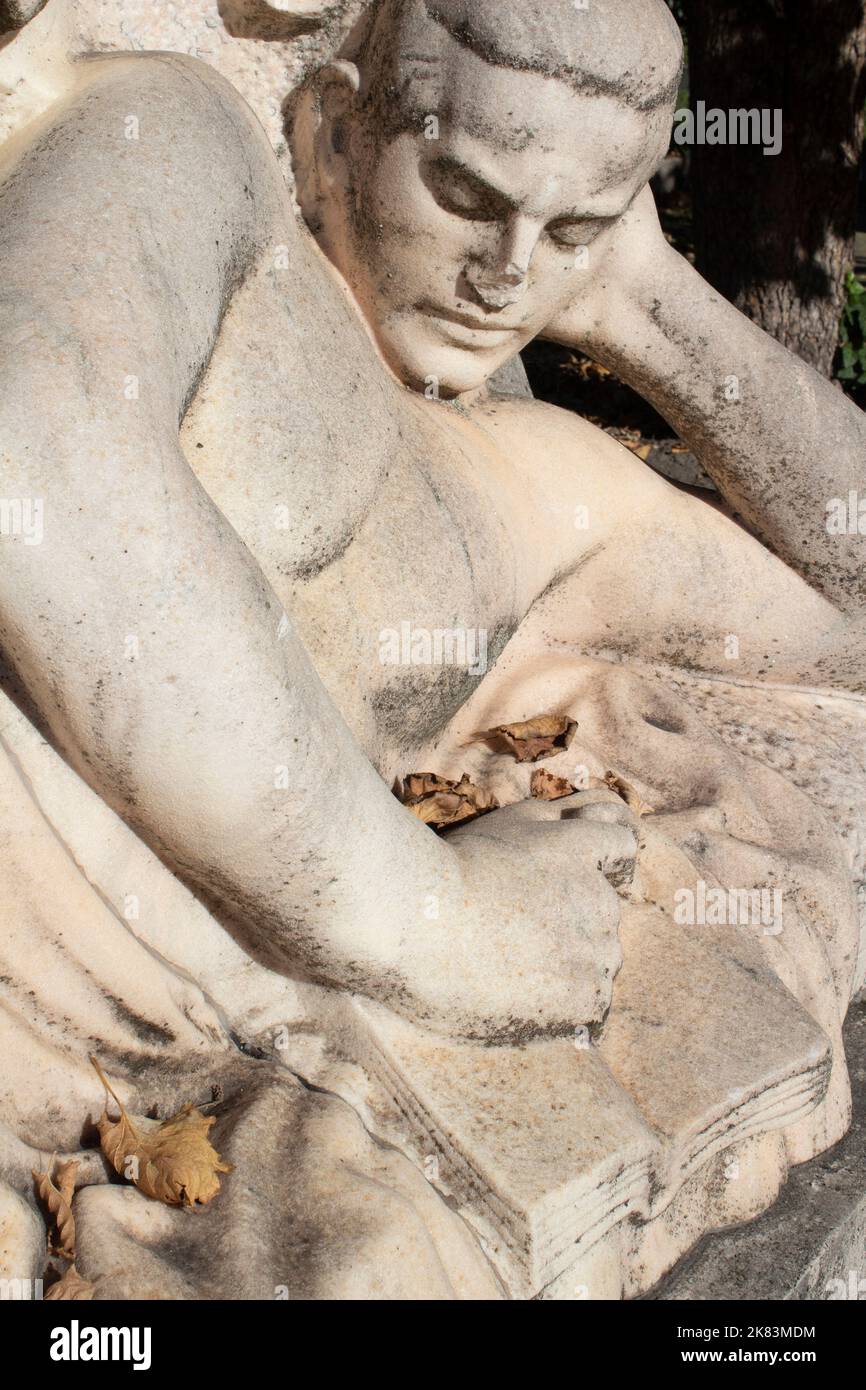 Statue of a man reading a book marking a grave in Kerepesi Cemetery - Pest Budapest, Hungary Stock Photo