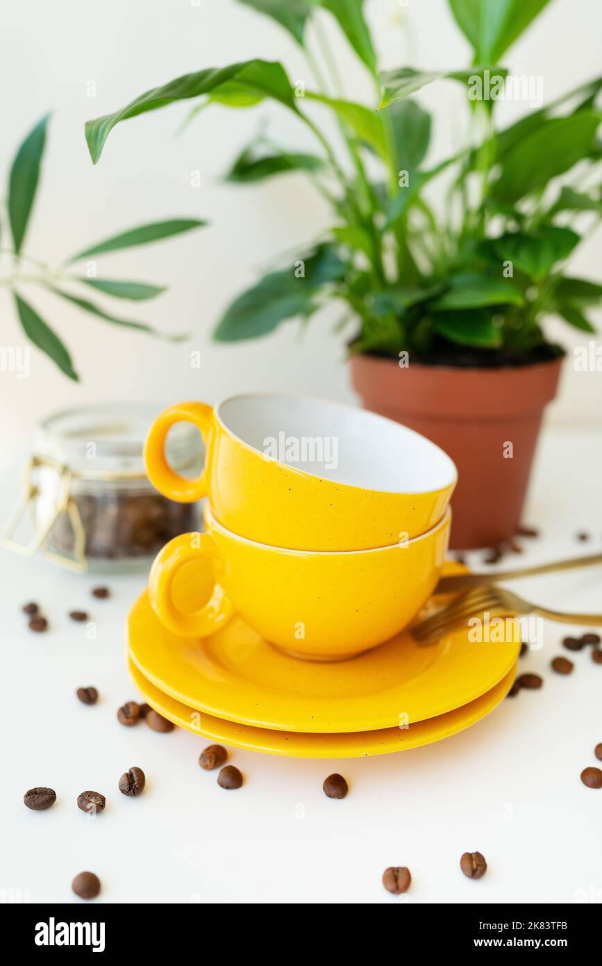 Beautiful morning, the process of making coffee. An automatic drip