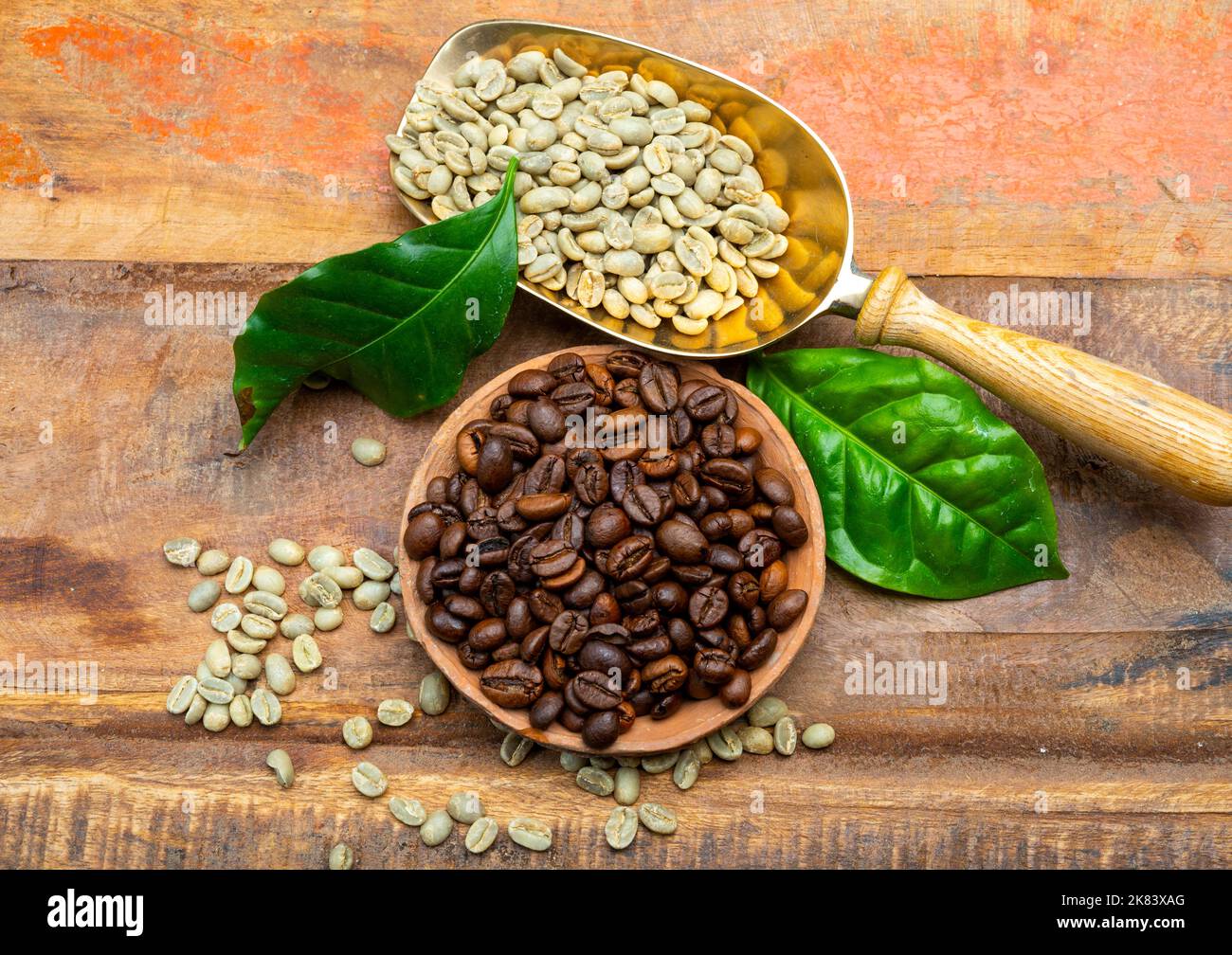 Green and roasted coffee beans from South America coffee producing