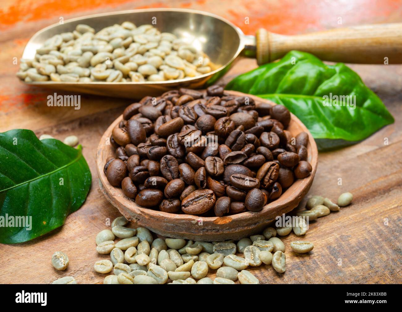 Green and roasted coffee beans from South America coffee producing