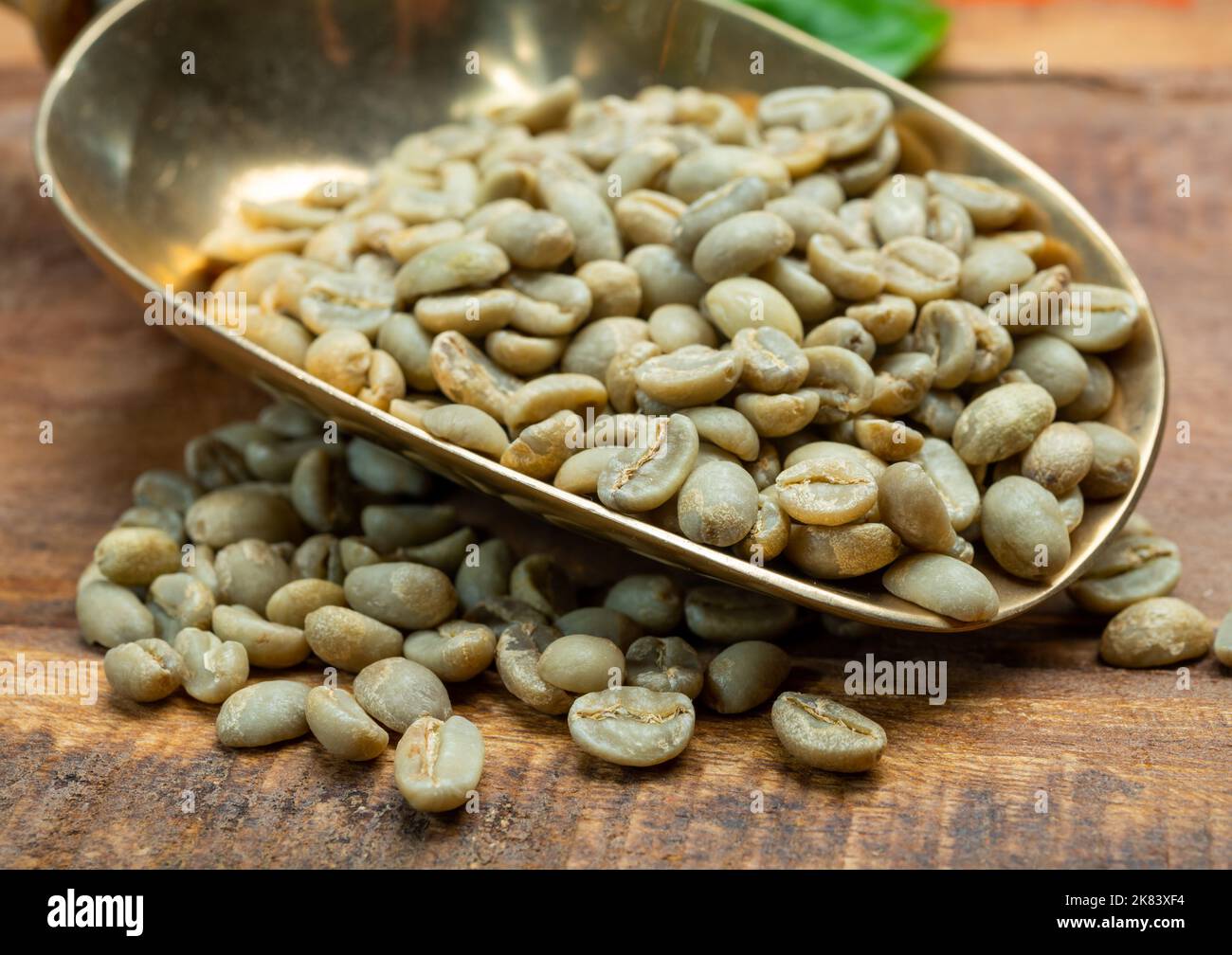 Green coffee beans from South America coffee producing region, from Colombia and Brazil with mountain ranges and climate ideal for coffee growing, clo Stock Photo