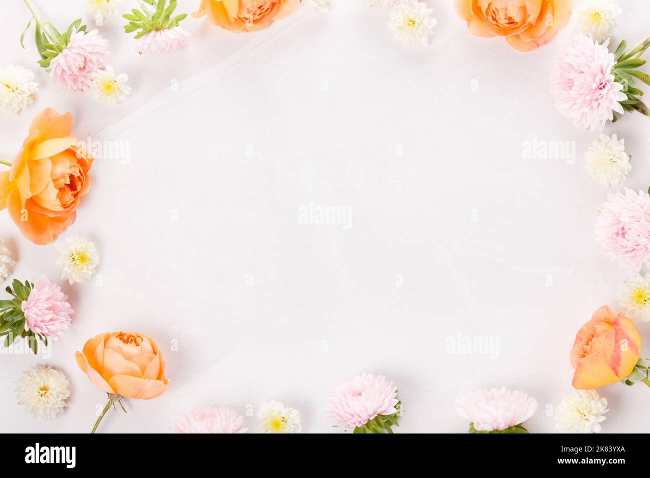 Autumn creative composition roses, hydrangea flowers on gray background. Stock Photo