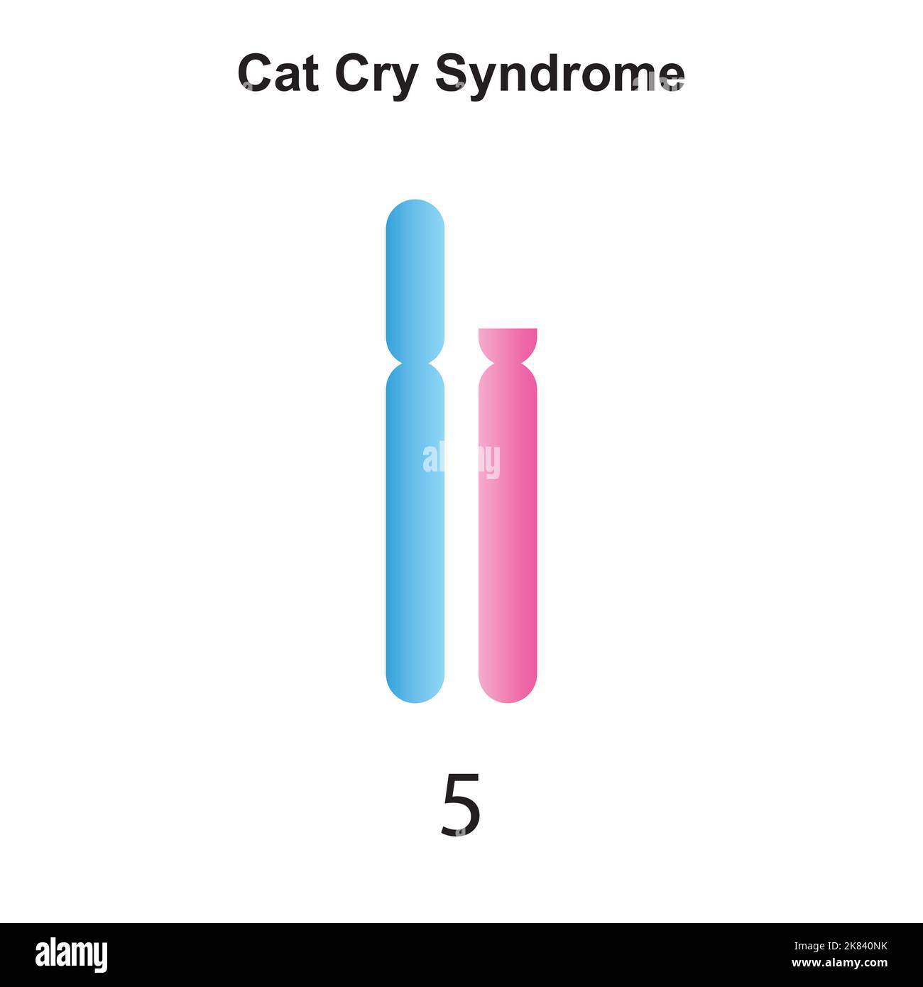 Scientific Designing of Cat Cry Syndrome. Colorful Symbols. Vector Illustration. Stock Vector