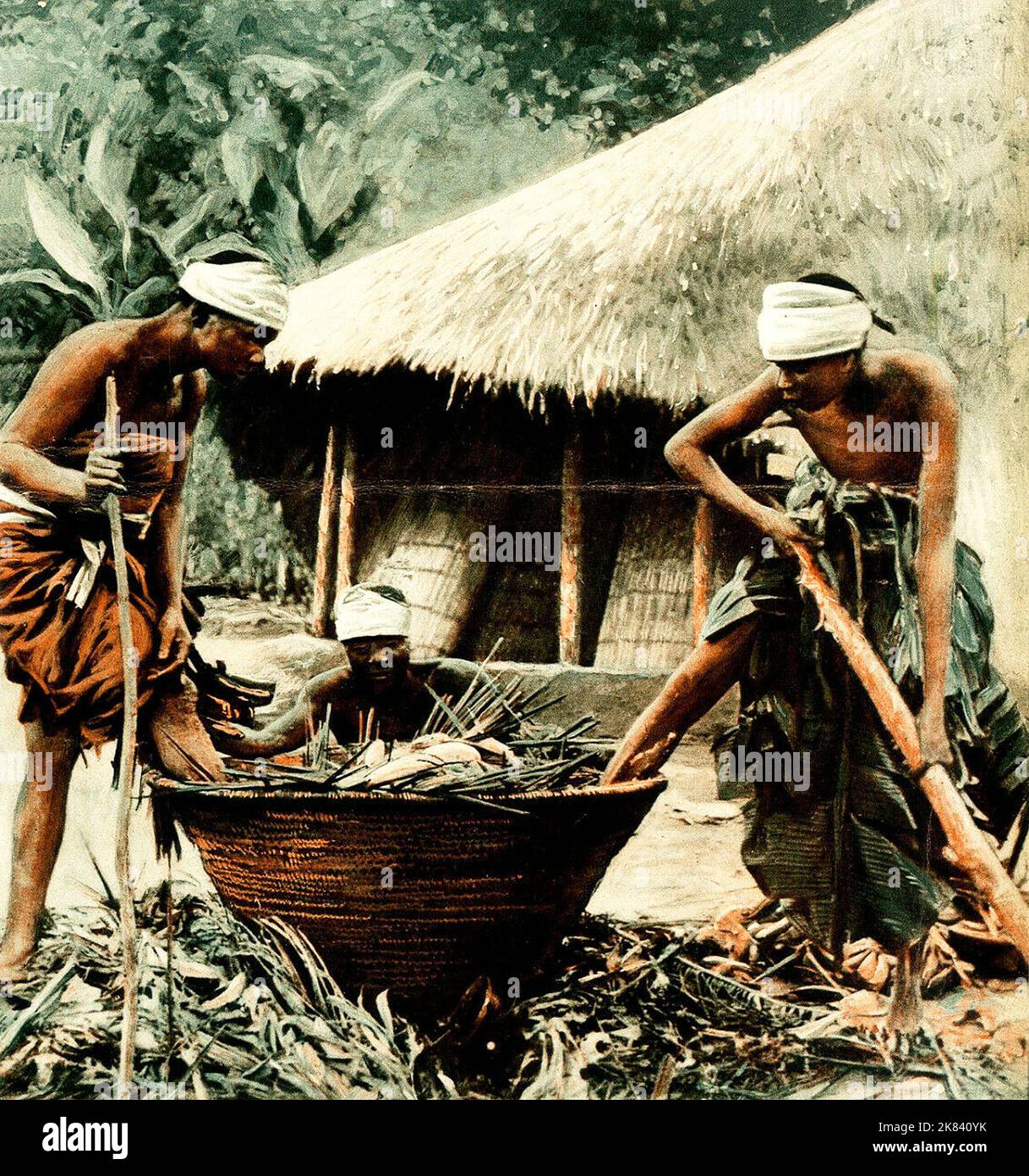 Preparation of banana beer in Uganda in 1932 Stock Photo Alamy