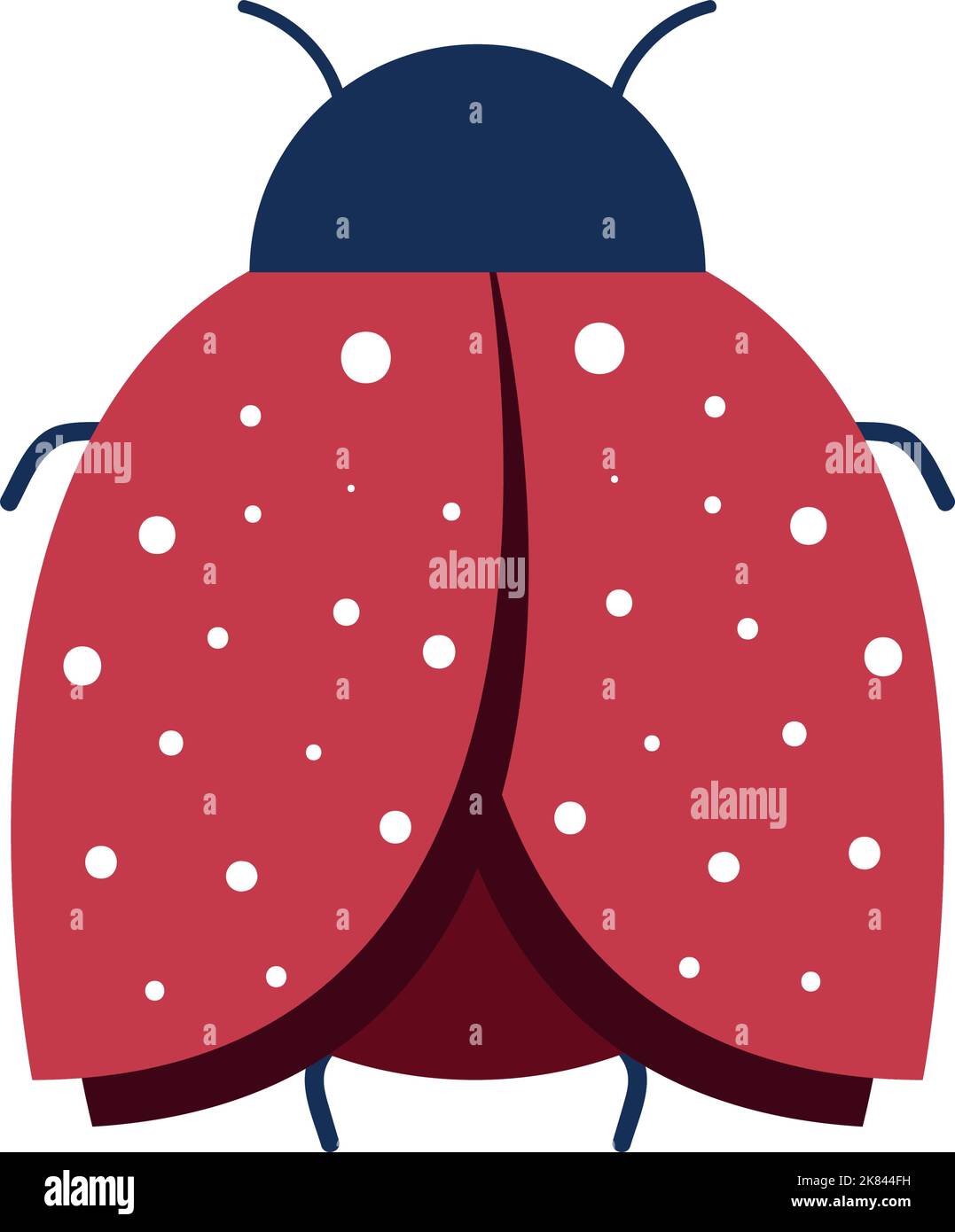 ladybird insect icon Stock Vector Image & Art - Alamy