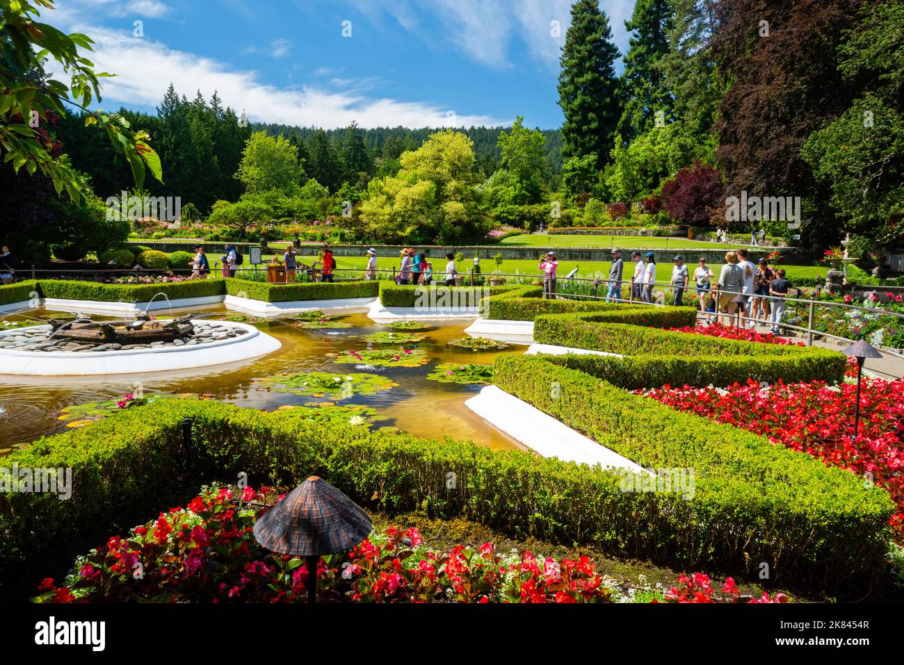 Photograph from a beautiful summer walk through the Butchart Gardens