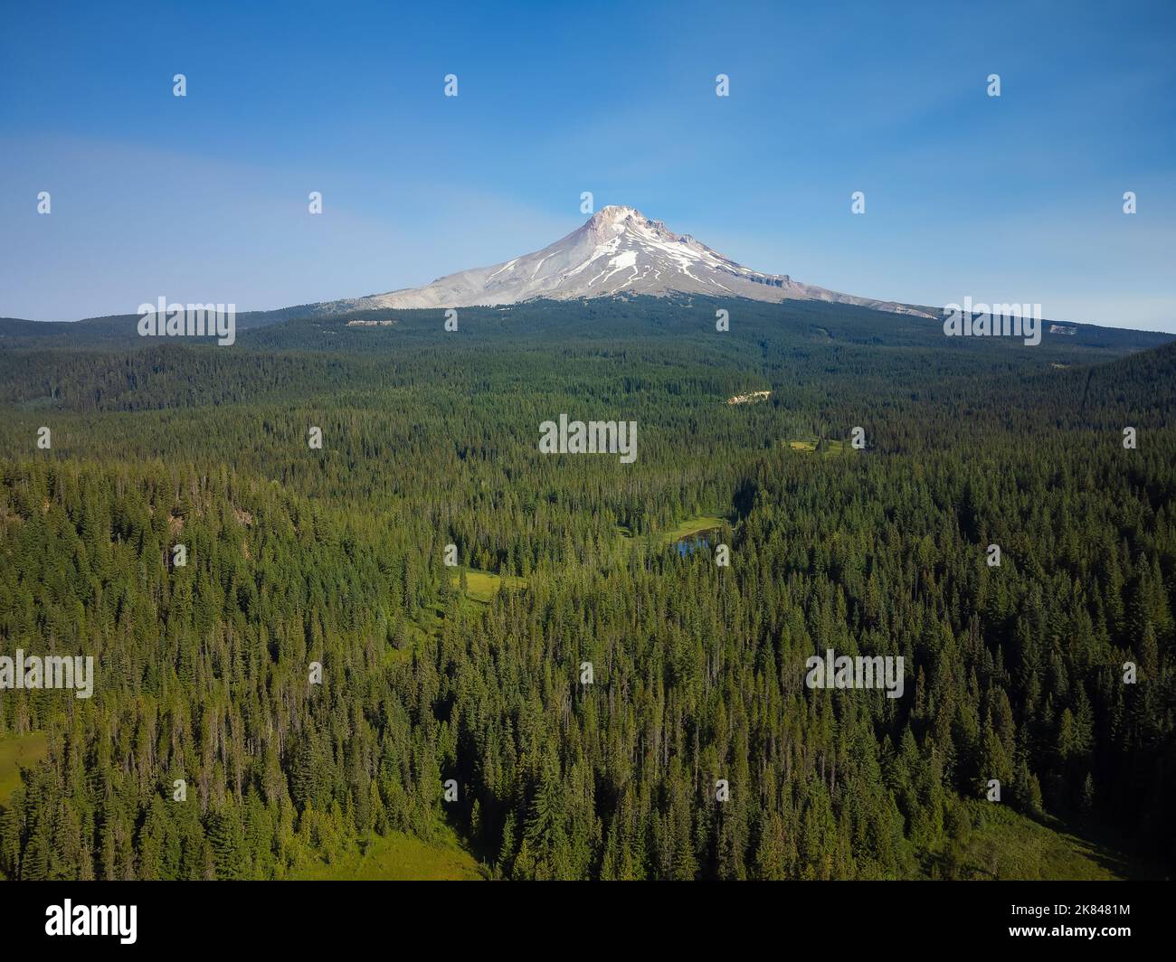 Large green meadow, pasture and snowcovered mountain on the horizon