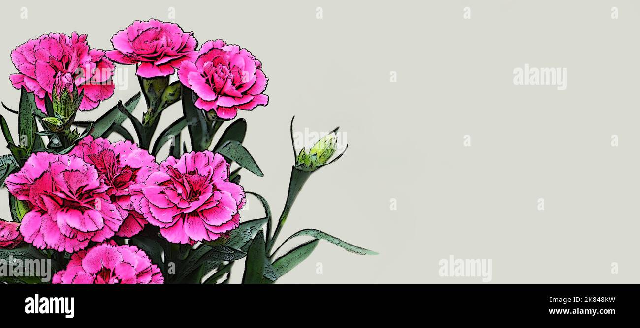 Happy Mothers Day card with pink carnation flowers illustration ...